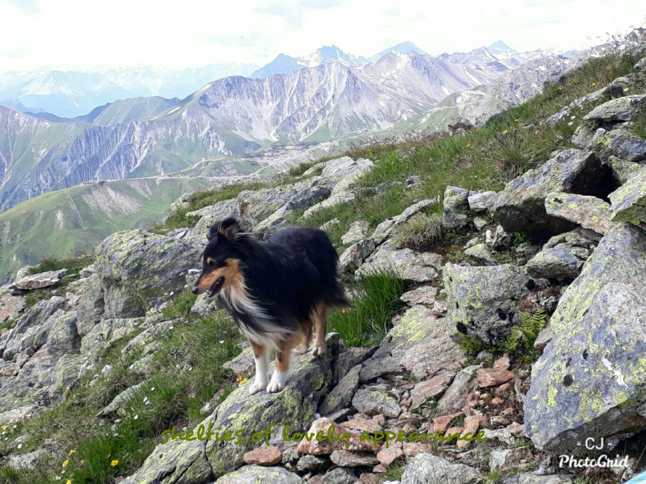 Der Berg ruft😀
Back in Black Juke of lovely appearance ist oft in den Bergen unterwegs. Vielen lieben Dank für das traumhafte Foto!